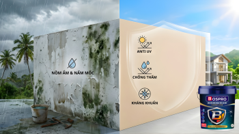 SƠN BOSPRO: GIẢI PHÁP ĐỘT PHÁ CHỐNG CHỊU KHÍ HẬU KHẮC NGHIỆT TẠI VIỆT NAM